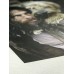 Hahnemuhle Agave Natural Line Paper 290gm A3+ 25 Sheets