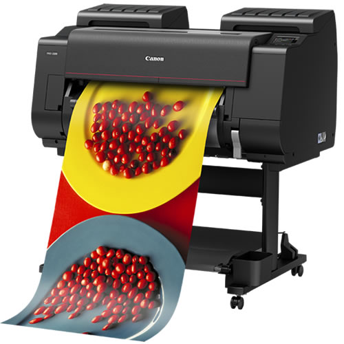 The Canon ImagePROGRAF PRO series is synonymous with print productivity and sophistication