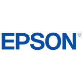 Epson Ink Cartridges