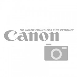 Canon Matte Black Ink Cartridge 330ml PFI-302MBK