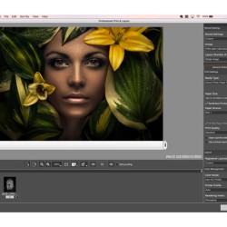 For nesting and so many other processes, Canon has the perfect free tool