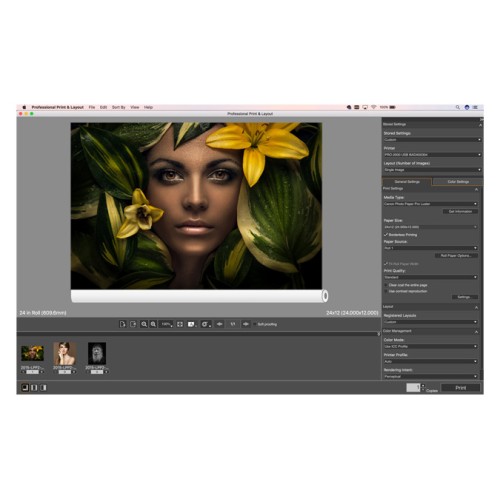 For nesting and so many other processes, Canon has the perfect free tool
