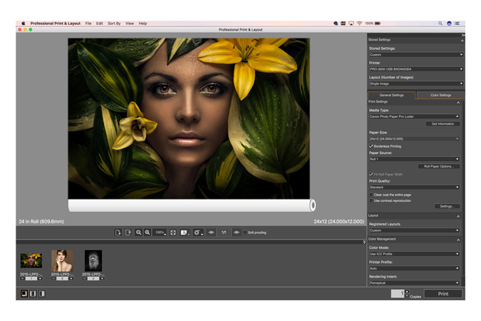 For nesting and so many other processes, Canon has the perfect free tool