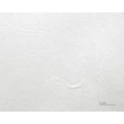 Awagami Unryu Thin 55gsm Kozo Fiber Paper 1118mm x 15m 