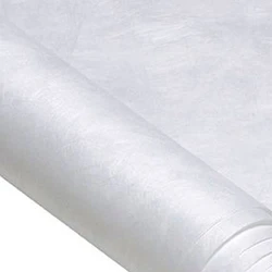 Tyvek Banner Paper for Site Visits: Tear Resistant, Water Resistant Prints From Your Canon imagePROGRAF